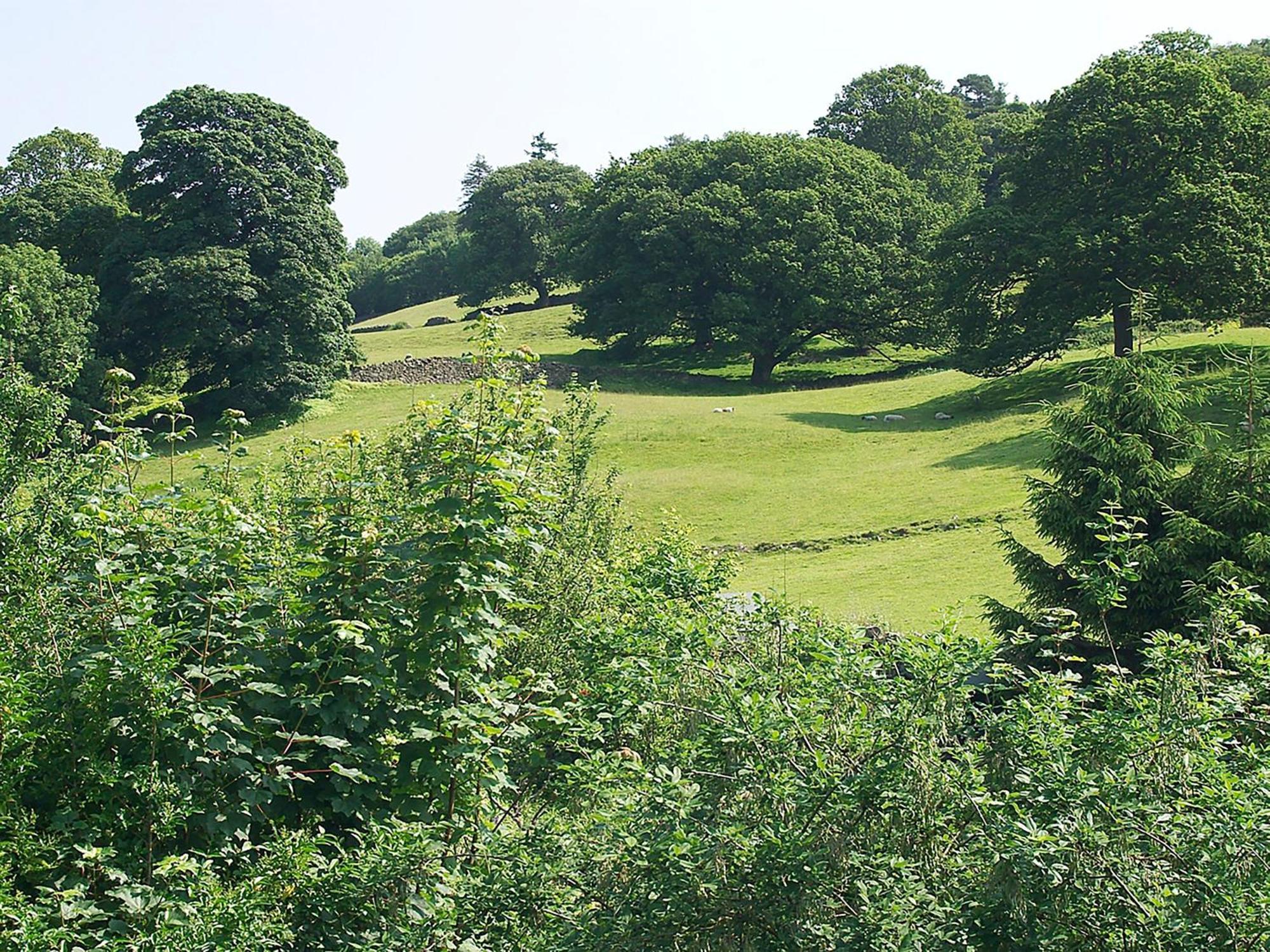 Howarth Cottage Troutbeck Bridge ภายนอก รูปภาพ